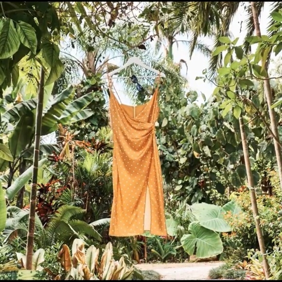 Yellow polka dot Dynamite dress - Picture 3 of 12